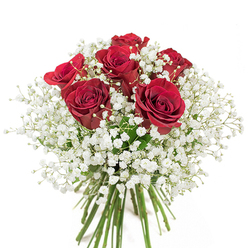 This stunning bouquet captures the heart of North Watford's floral tradition: six sumptuous crimson red roses rise at the centre, their petals smooth and deeply colored, echoing the richness found along Cassiobury Park's walkways. Around the roses, a flourishing halo of crisp white baby's breath (gypsophila) softens each edge, reminiscent of morning mist resting on the nearby canal. The contrast between passionate reds and ethereal whites creates visual harmony, with every rose and filler meticulously placed for balance and rhythm. Beneath the abundance, vivid green stems are cleanly tied, evoking the freshness of flowers straight from North Watford's markets. Crafted with an eye for elegant restraint, this bouquet holds a gentle fragrance; the layers of texture and depth offer a tactile invitation to pause and reflect. Perfect for commemorating milestones or brightening a loved one's day, the design feels both classic and personal-a true expression of the artistry and care that define North Watford's local florists. Every glance at the arrangement brings forth an air of celebration and sincerity, making it an ideal gift for marking life's most cherished moments.