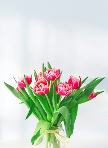 Same day Flowers North Watford